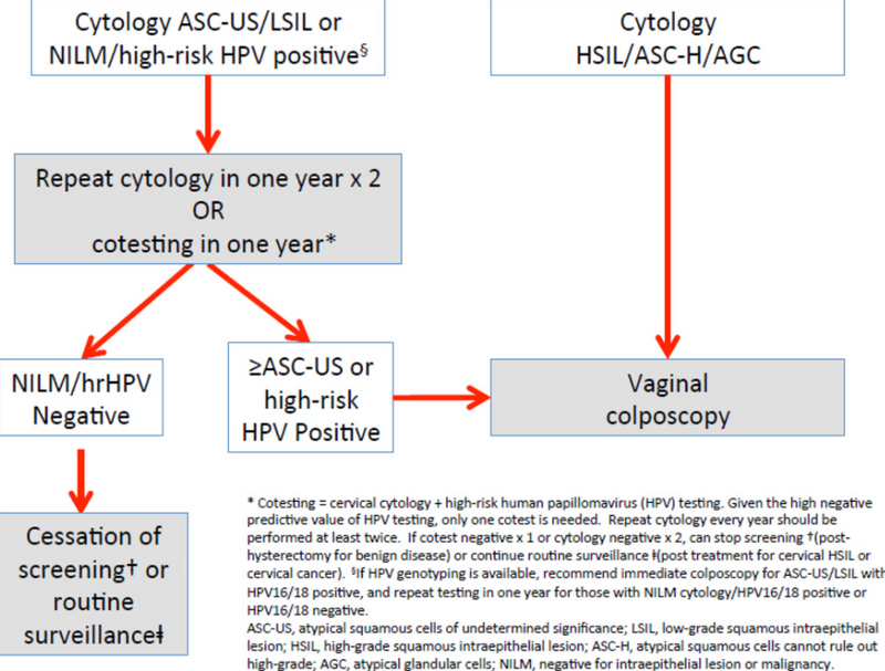 1 Guidelines for management of patients with abnormal vaginal